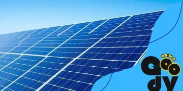 Renewable energy public incentives: are you taking advantage?